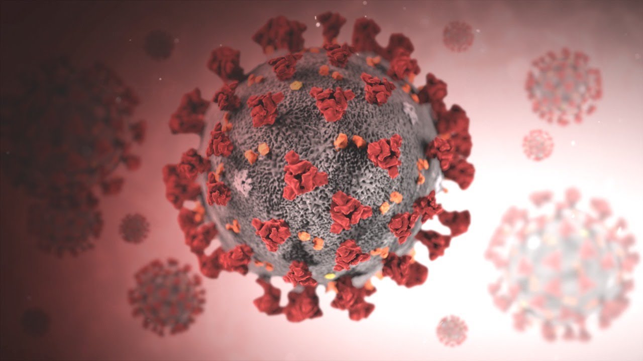 Африканский штамм коронавируса вызывает большие опасения у экспертов