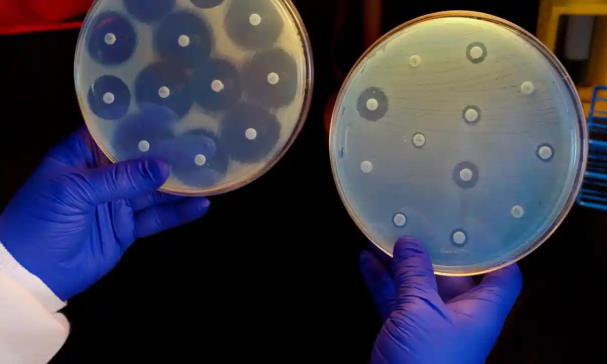 Новая тест-система определяет чувствительность к антибиотикам за несколько часов