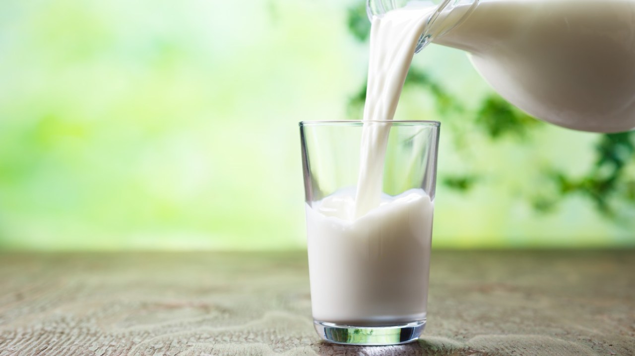 Белок из молока смог защитить клетки мозга от гибели